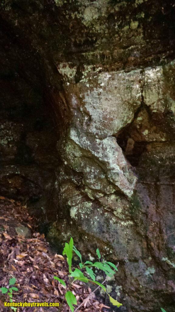 Bee Rock Loop Arch, Pulaski County KY 9-28-18.jpg